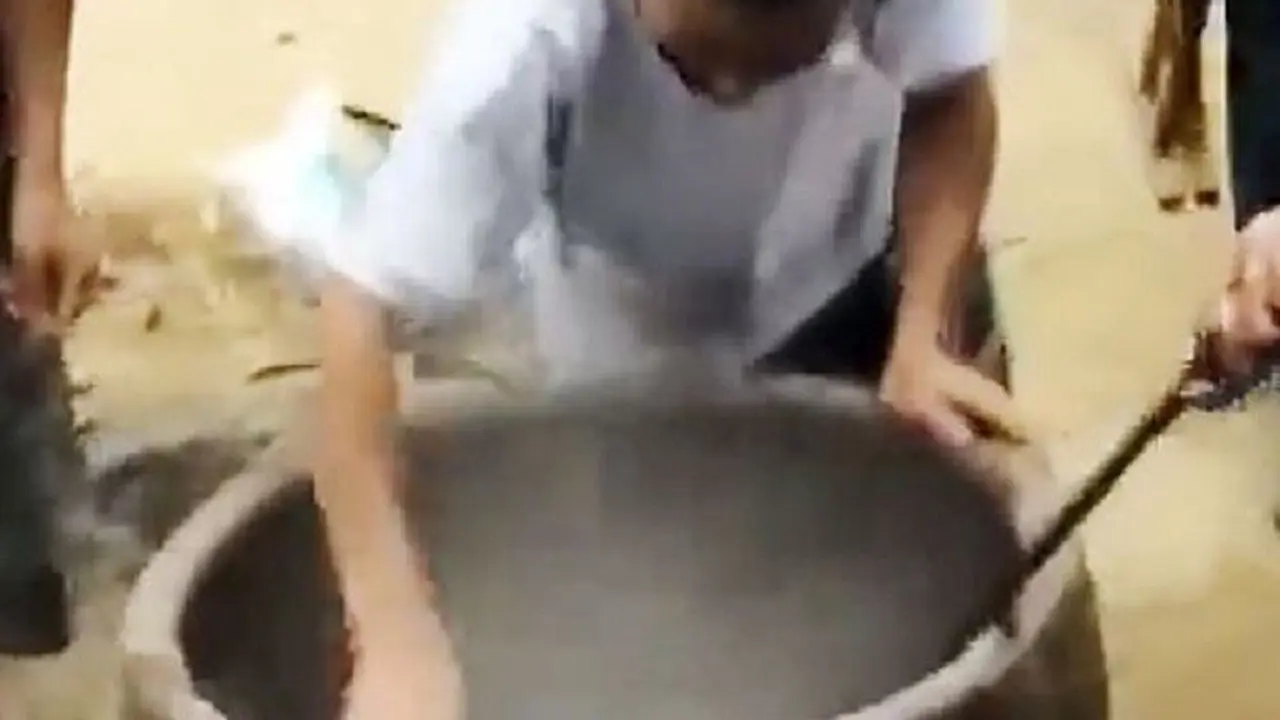 [Bintang] Anjing 