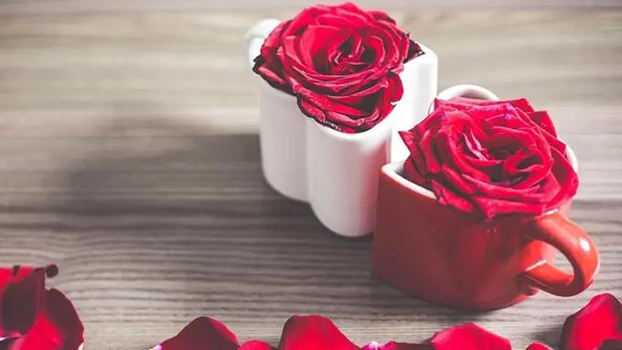 Foto: copyright picjumbo.com