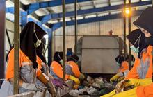 10 Ton Olahan Sampah Dikirim ke Pabrik Semen Tuban, Jadi Bahan Bakar Alternatif Pengganti Batu Bara