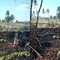 Petani Lansia Tewas Terjebak Kobaran Api Saat Bakar Lahan