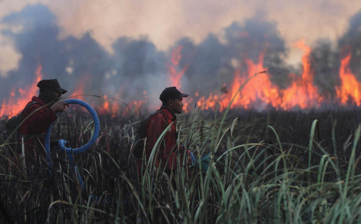Karhutla Meluas di Sejumlah Wilayah Indonesia