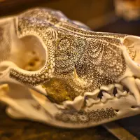 Nggak lagi terlihat seram, tengkorak-tengkorak hewan berikut ini justru terlihat mewah setelah dihias tinta emas.