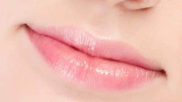 bibir tebal