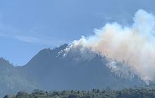 Kronologi Terbakarnya Pegunungan Ebeng-Ebeng di Taman Nasional Bromo Tengger Semeru, Petugas Kesulitan Padamkan Api