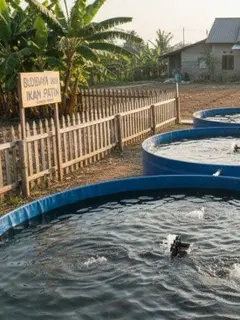 Konsep Budidaya Ikan Patin di Tanah Kering (Ilustrasi: Gemini AI)