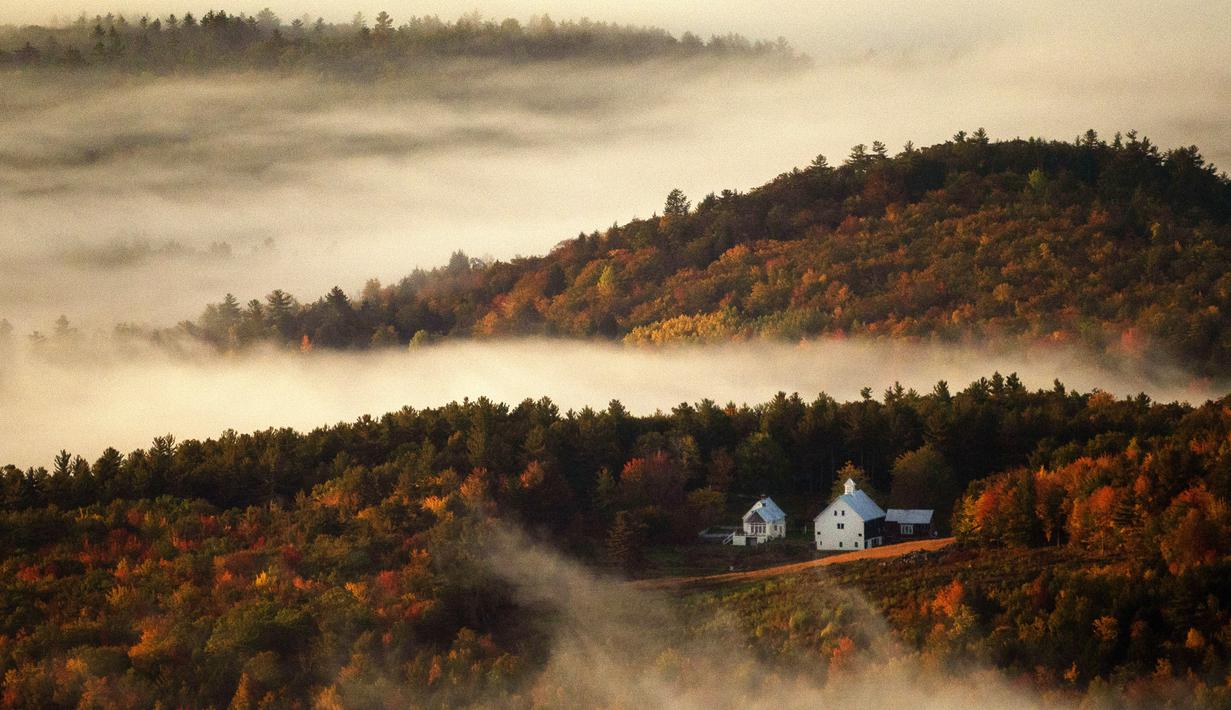 Kabut lembah berembus melalui perbukitan berwarna musim gugur di dekat Picket Hill Farm, Oxford County, Maine, Amerika Serikat, Rabu (13/10/2021). Salah satu yang paling khas dari musim gugur adalah pohon-pohon yang berubah warna sebelum gugur. (AP Photo/Robert F. Bukaty)
