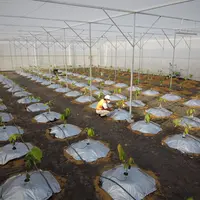 Fasilitas Greenhouse pada PCTC memiliki fungsi pengaturan jumlah air, cahaya, dan pupuk untuk meneliti kondisi terbaik pada penanaman kakao.