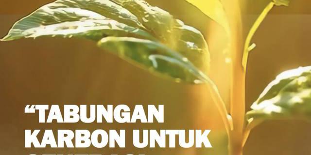 Pohon, Tabungan Karbon untuk Generasi Mendatang