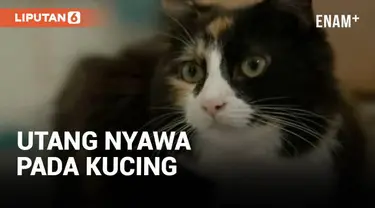 Seekor kucing mendadak jadi pusat perhatian di Inggris. Hewan tersebut berhasil selamatkan nyawa pemiliknya saat hilang kesadaran dengan membunyikan alarm.