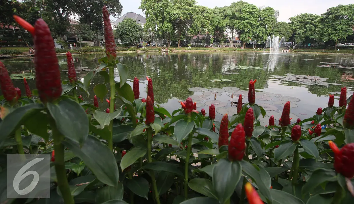 Suasana di Taman Situ Lembang, Jakarta, (25/8). Dinas Pertamanan dan Pemakaman DKI menyebutkan total luas RTH di Jakarta sekitar 9,98 persen, padahal luas ideal RTH suatu kota adalah 30 persen dari luas wilayah. (Liputan6.com/Immanuel Antonius)