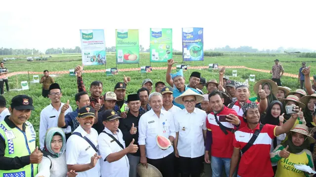 Banyuwangi Panen Raya Semangka, Bupati Anas Ajak Petani Garap Produk Turunan