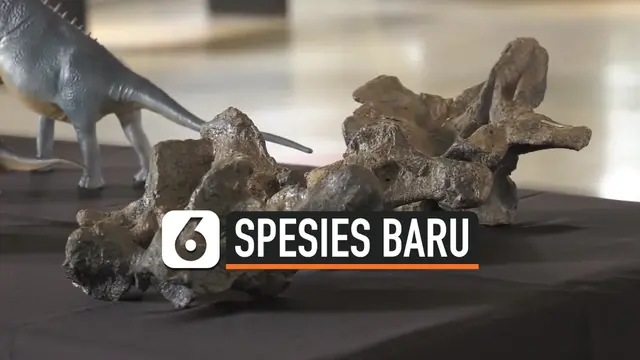 spesies baru