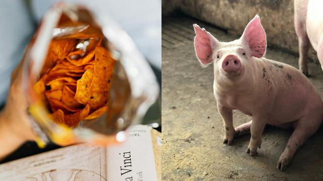 Ilustrasi Keripik Kulit Babi