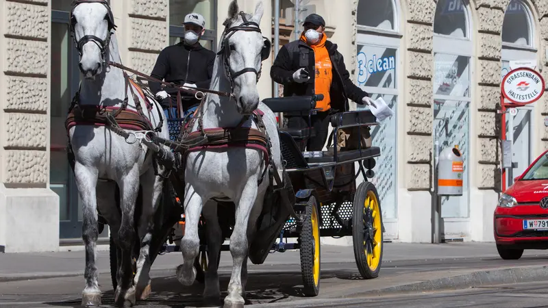 Kereta Kuda Pengantar Makanan untuk Lansia di Wina