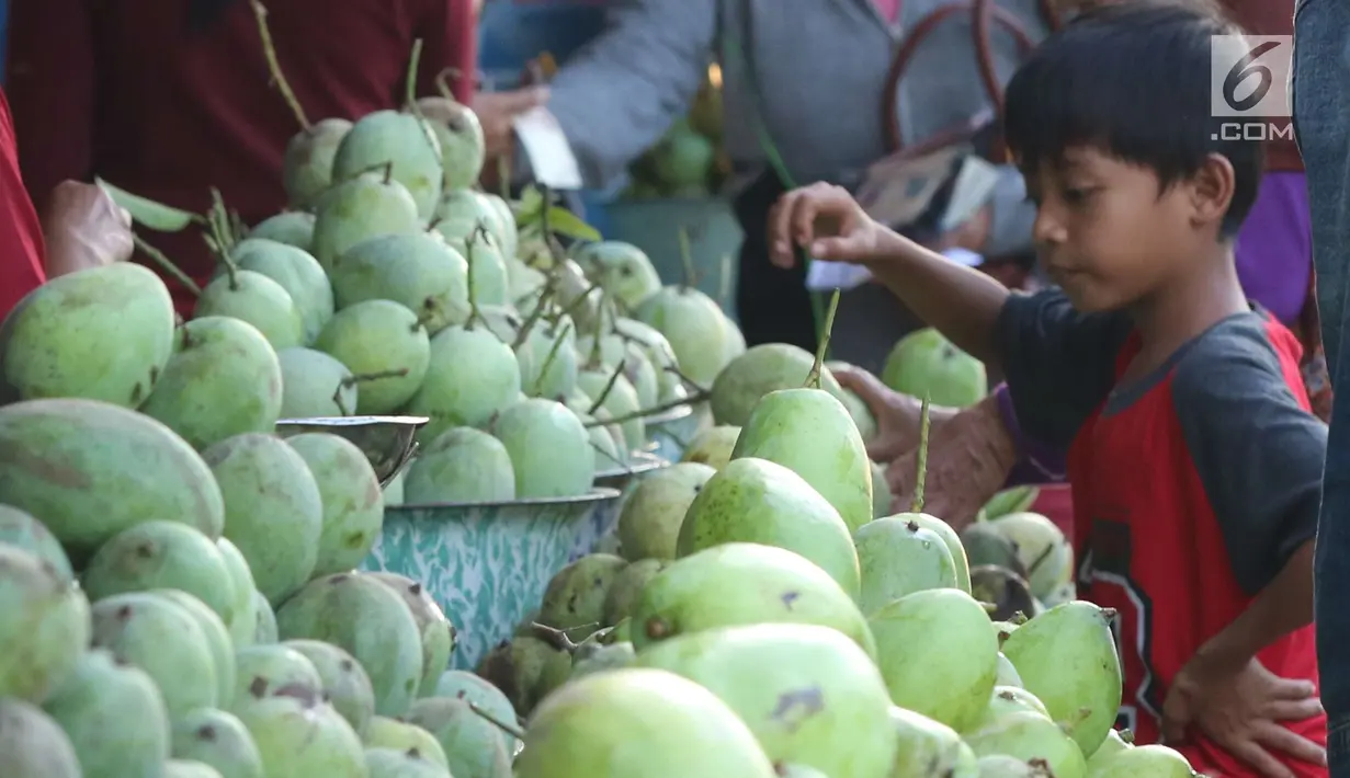<p>Seorang anak mengamati buah mangga yang dijajakan di Jalur Pantura Indramayu, Jawa Barat, Kamis (29/6). Berbagai jenis mangga seperti gedong, arum manis dan golek menjadikan buah ini oleh-oleh khas daerah Indramayu. (Liputan6.com/Helmi Afandi)</p>