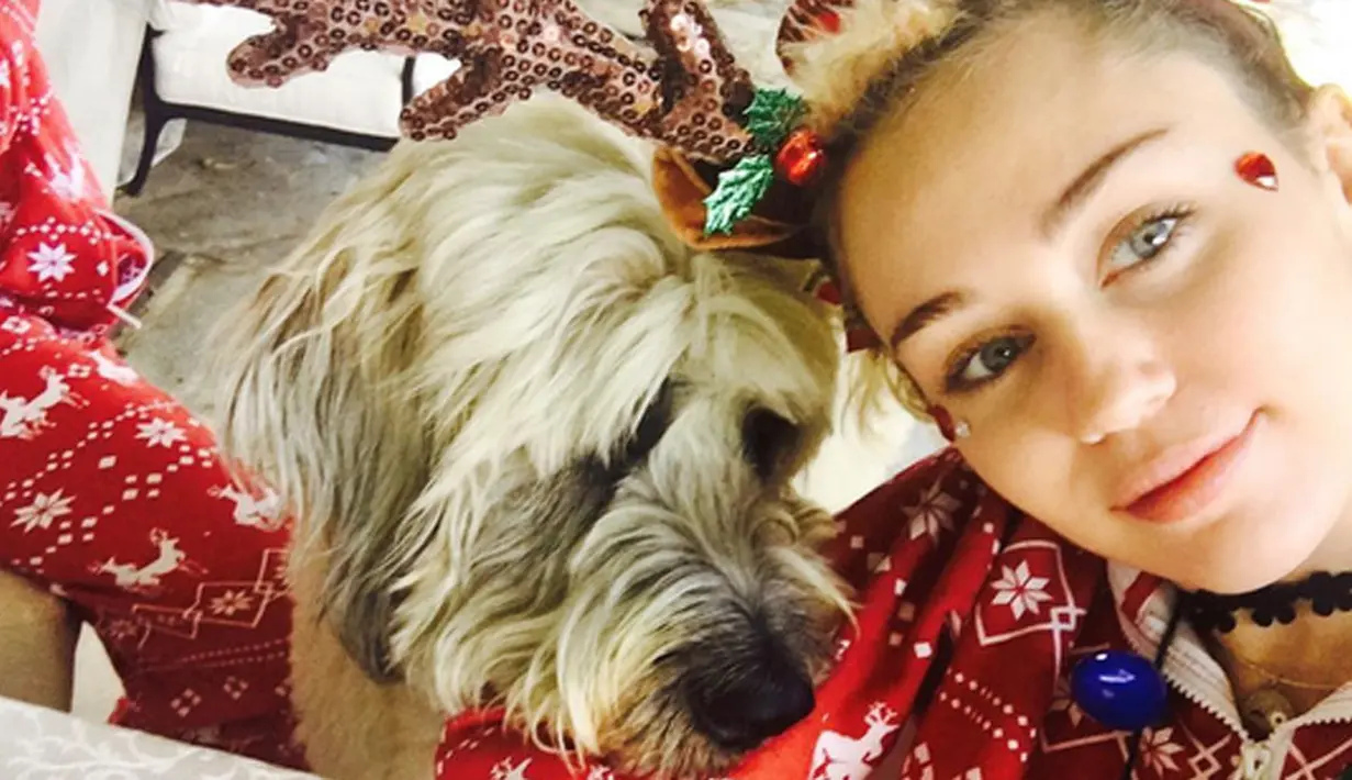 Pasangan Miley Cyrus dan Liam Hemsworth memang telah bertunangan di Tahun 2012, namun keduanya sempat berpisah di tengah jalan. Satu tahun lalu keduanya kembali bersama dan sampai saat ini hubungan keduanya semakin baik. (Instagram/mileycyrus)