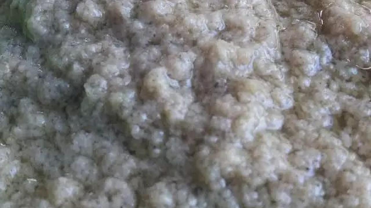 <b>Cara Membuat Bumbu Dasar Kuah Bakso Sapi</b>