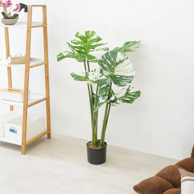 Arthome Tanaman Artifisial