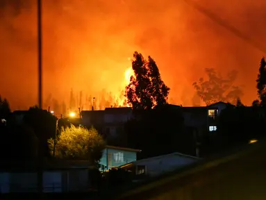 Kobaran api terlihat di kawasan Dichato Chili, Senin (30/1). Chili saat ini sedang berjuang melawan kebakaran terburuk dalam sejarah negara mereka. (AP Photo / Esteban Felix)
