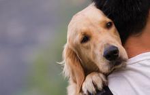 ⁠Ide Nama Anjing Jantan yang Lucu dan Menarik, Ternyata Mudah Diingat