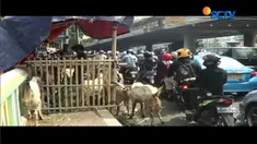 Instruksi Gubernur Nomor 99 Tahun 2017 tentang[ bulan tertib trotoar tidak hanya ditujukan untuk parkir liar, tetapi juga para pedagang.