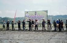 Pemkab Ciamis Perluas Tanam Padi Organik, Jaga Lingkungan dan Kesejahteraan Petani