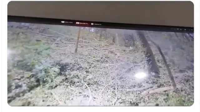 Turis Prancis dan Korea Selatan Tewas Tertimpa Pohon Tumbang, Monkey Forest Ubud Bali Ditutup Sementara