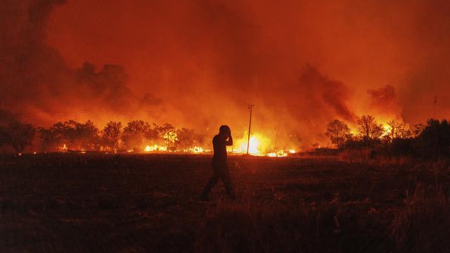 Api Kebakaran Hutan di Yunani