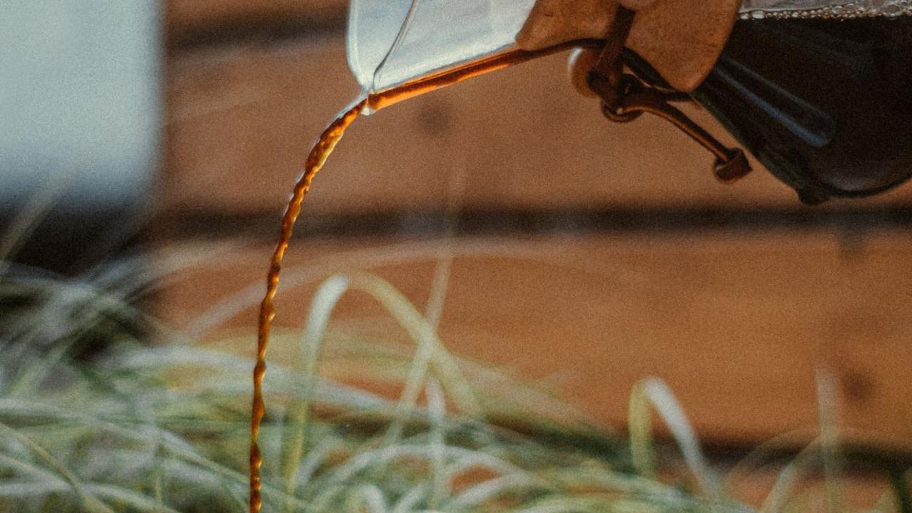 Rasa Pahit Kopi: Kombinasi Senyawa dan Proses Pembuatan