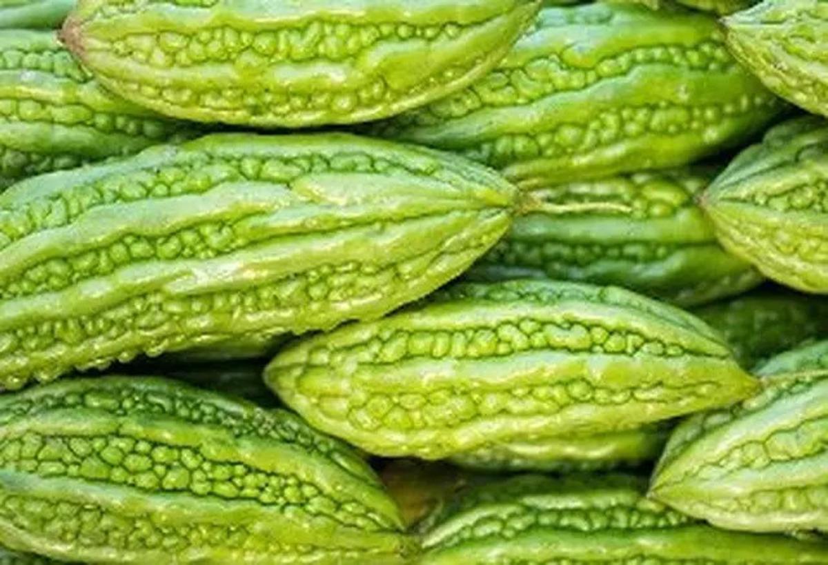Cara Merebus Pare untuk Bantu Turunkan Kolesterol dan Diabetes
