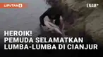 Aksi heroik dipertontonkan sejumlah pemuda di Pantai Ciwidig, Kertajadi, Cidaun, Kabupaten Cianjur (25/5/2024). Awalnya sejumlah pengunjung mendapati seekor lumba-lumba terdampar di tepi muara pantai seakan meminta tolong. Sejumlah pemuda yang merasa...