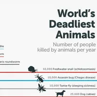 Setiap hewan lucu pasti mempunyai sifat yang menyenangkan dan menggemaskan, eits! Jangan salah, hewan lucu ini malah mematikan. Ih seremmm