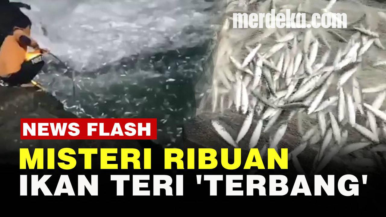 VIDEO:Fenomena Unik Ribuan Ikan Teri 'Terbang' di Pantai Selatan Jogja, Pertanda Apa?