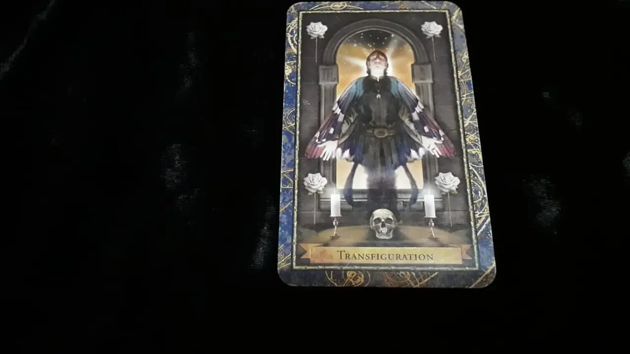 Tarot Hari Ini