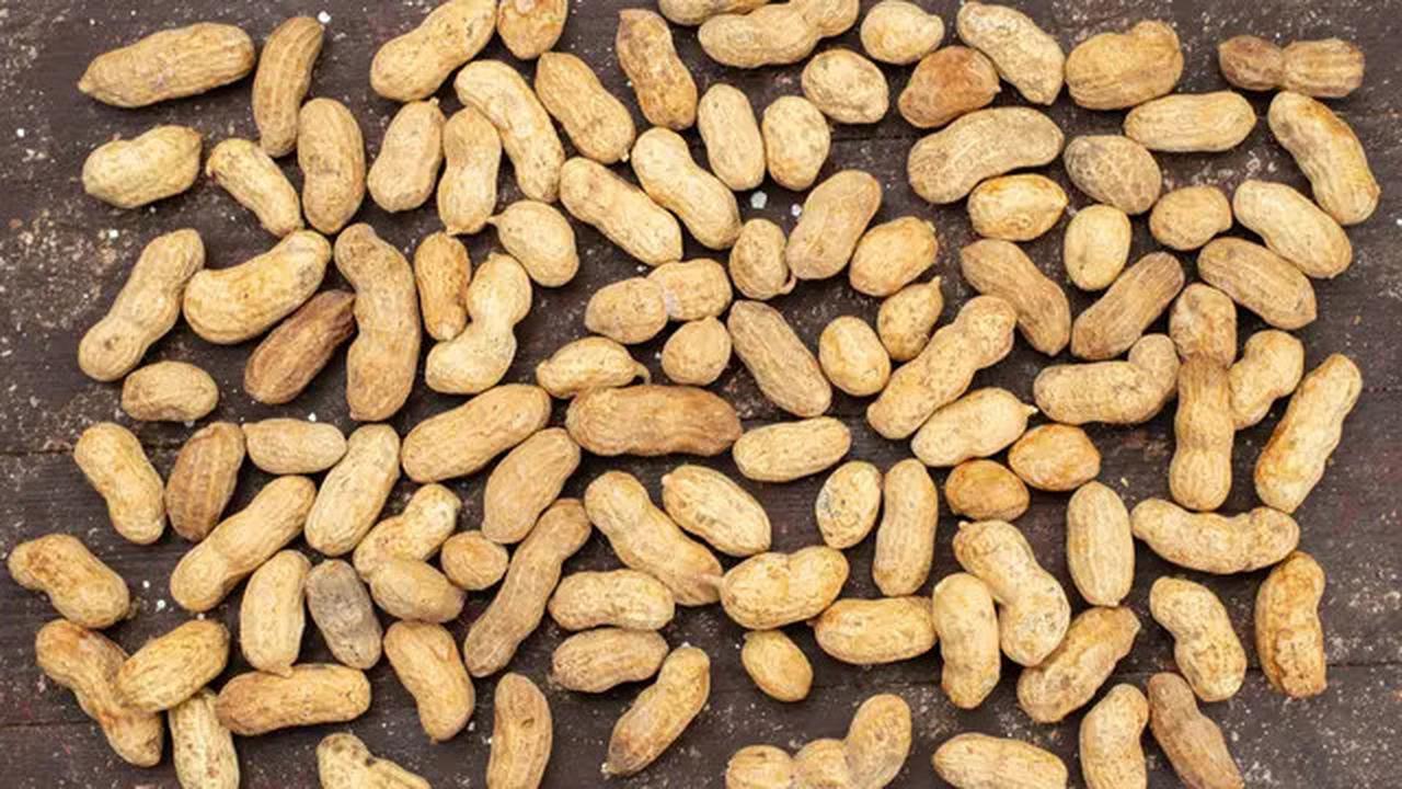 Cara Menyimpan Kacang Tanah Agar Tahan Berbulan-Bulan Seperti Baru Dipanen