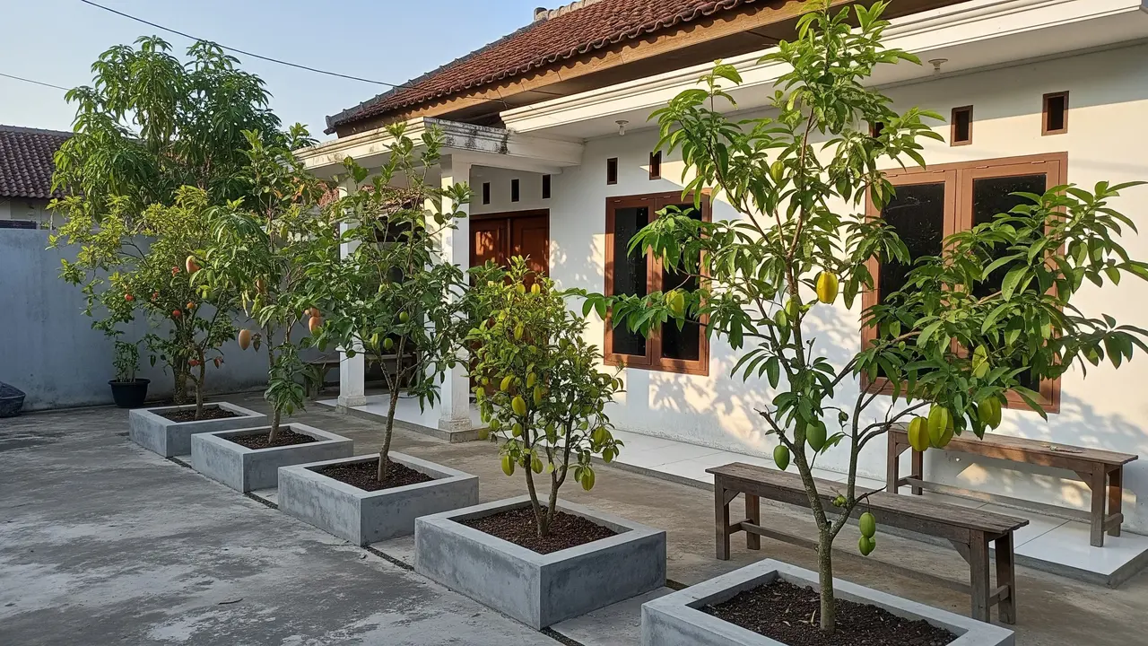 Pohon Buah yang Cocok Ditanam dalam Planter Box Beton