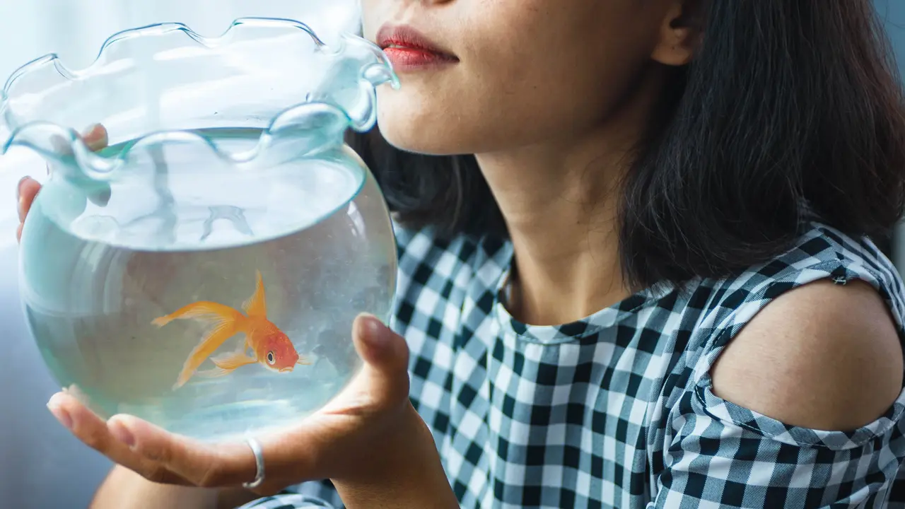 perempuan memelihara ikan