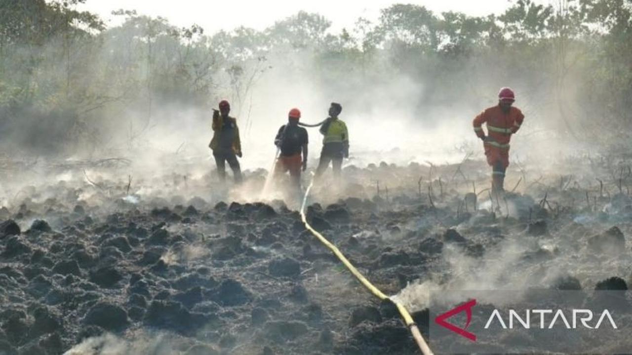 Dishut Kaltim Perkuat Pengamanan Hutan Libatkan Masyarakat, Atasi Deforestasi dan Karhutla