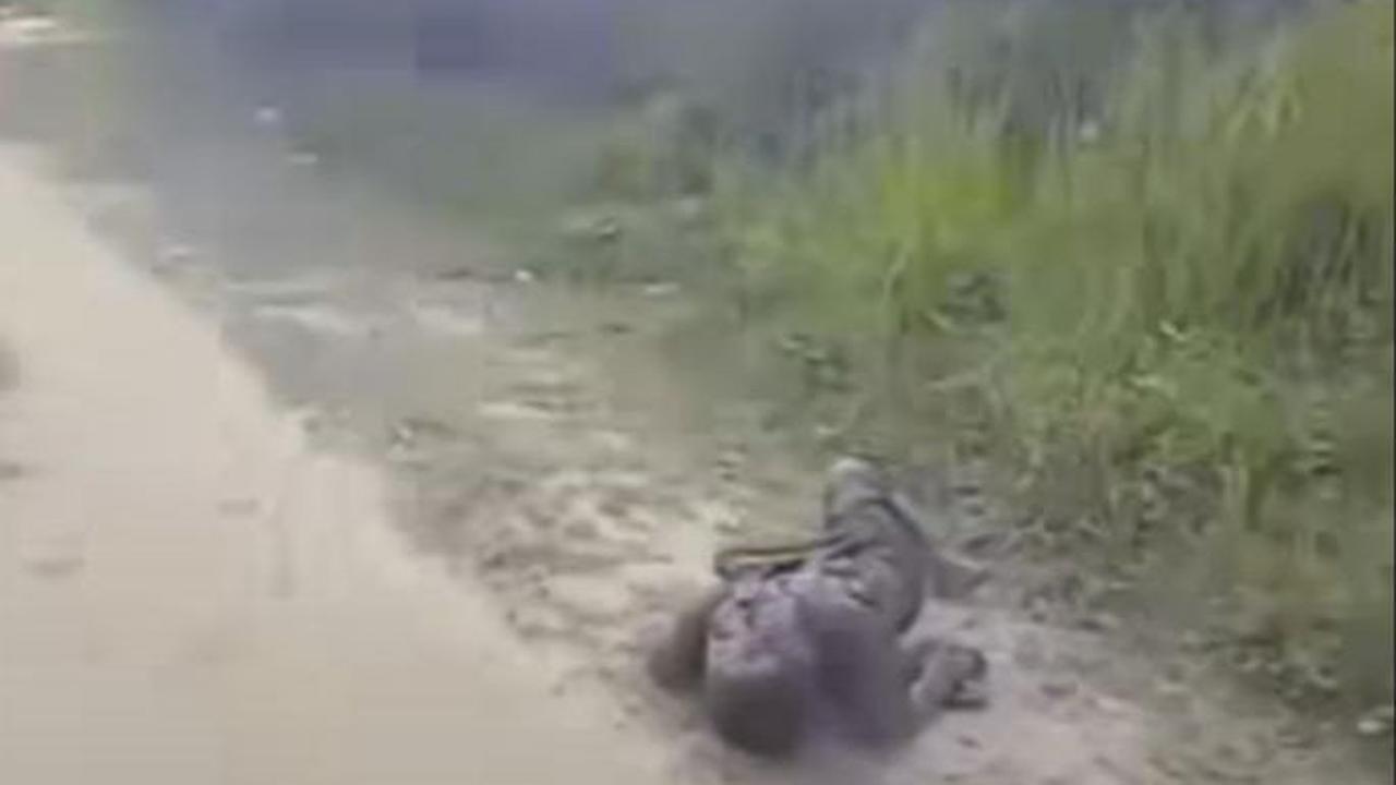 Dalam video yang beredar nampak pengendara motor sekaligus perekam video turun dan menanyakan keadaan bocah tersebut.