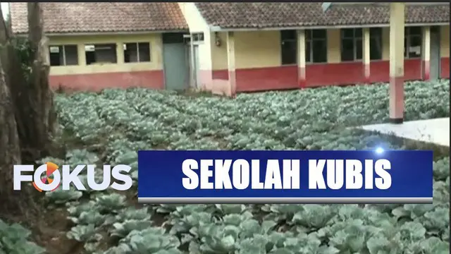 Tiga tahun terbengkalai, gedung sekolah dasar di Bandung, Jawa Barat, dimanfaatkan warga jadi kebun kubis.