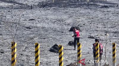Kebakaran Bromo Meluas Drastis, 520 Hektare Kawasan TNBTS Terdampak
