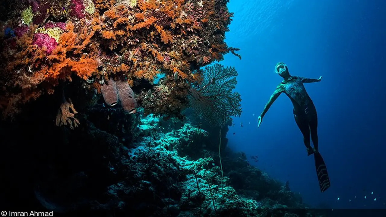 [Bintang] Wakatobi