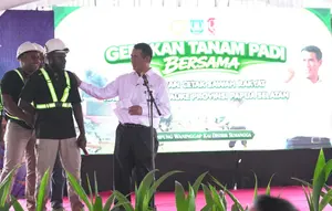 Cetak Sawah Papua Selatan, Mentan Siapkan Rp 1,3 Triliun