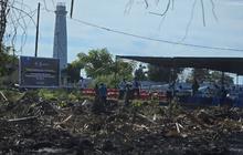 Pemprov Papua Perkuat Rantai Distribusi Perikanan, Dorong Ekspor Berkelanjutan