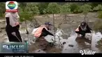 Ratusan mahasiswa di Malang, Jawa Timur, menanam bibit mangrove di area Pantai Clungup, Kabupaten Malang. Gelaran ini, sebagai wujud kepedulian mahasiswa terhadap lingkungan.