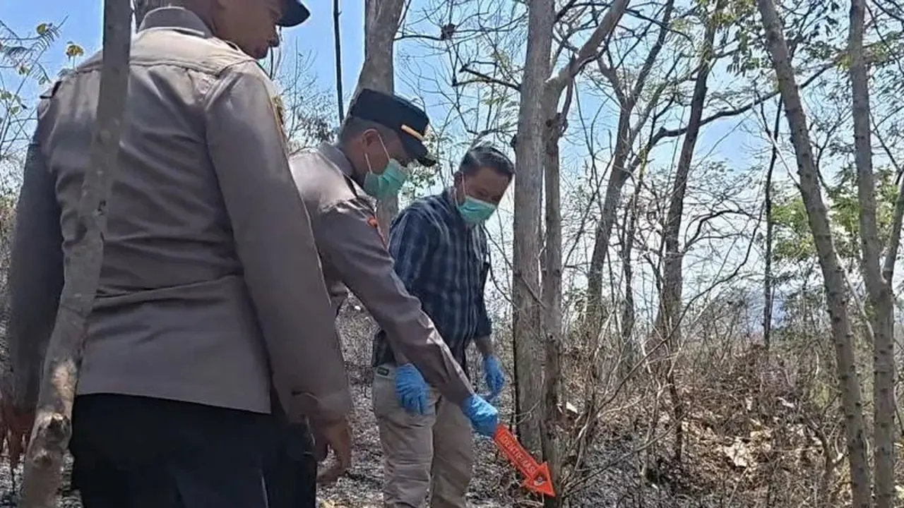Tragedi Karhutla Ponorogo, Mencari Kayu Bakar, Seorang Lansia  Tewas Terkepung Kobaran Api