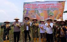 Bulog Komitmen Serap Seluruh Produksi Jagung Petani Blora untuk Pakan dan Bioetanol