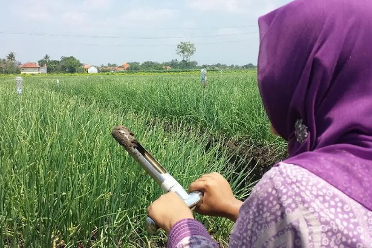 (Foto: Liputan6.com/Fajar N)