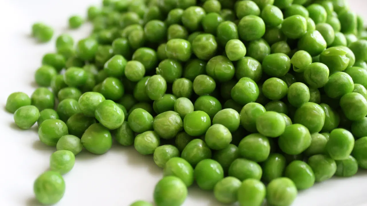 Kacang polong 