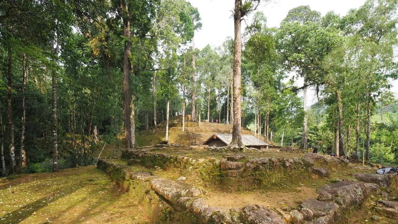 Penjelasan Lengkap Mengenai Skema REDD+, Strategi RI Dorong Ekonomi Hijau dan Pengurangan Emisi